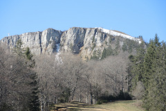 DSCN4350