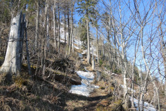 DSCN4354