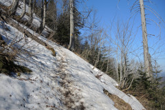 DSCN4356