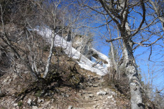 DSCN4361