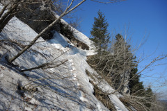 DSCN4362