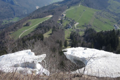 DSCN4365