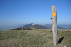 DSCN4368