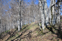 DSCN4380