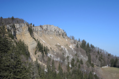 DSCN4383