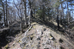 DSCN4398