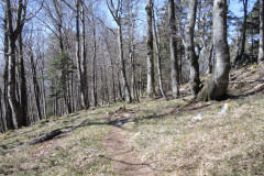 DSCN4399