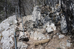 DSCN4405