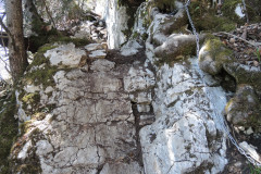 DSCN4406