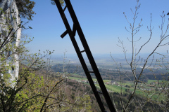 DSCN4410