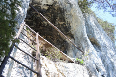 DSCN4412