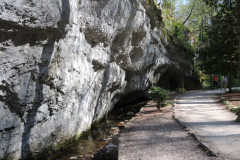 DSCN4425