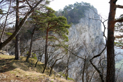 DSC01949