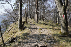 DSC01955
