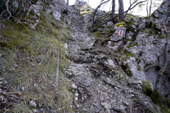 DSC01956