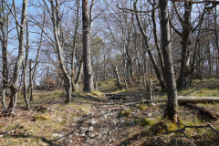 DSC01964