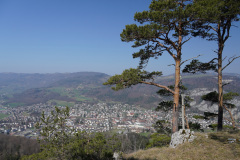 DSC01977