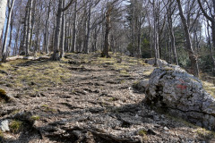 DSC01985