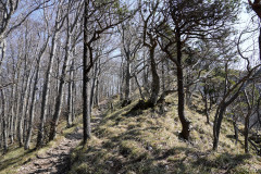 DSC01990