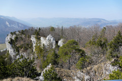 DSC02004