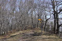 DSC02007