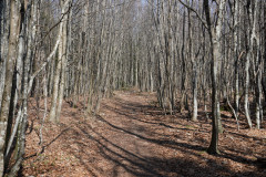 DSC02012
