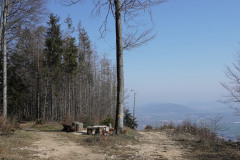 DSC02013