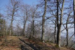 DSC02016