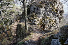 DSC02021