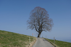 DSC02031