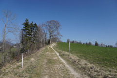 DSC02033