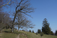 DSC02036
