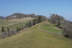 DSC02039