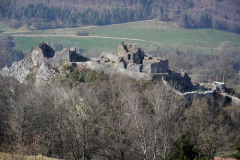 DSC02041