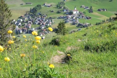 DSCN2750