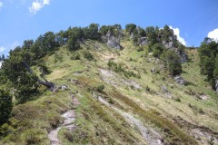 DSCN2781
