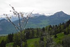 DSCN1694