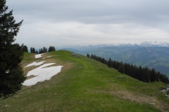 DSCN1705