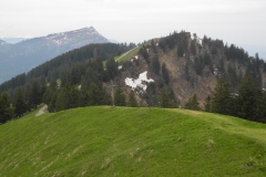 DSCN1706