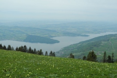 DSCN1720