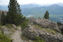 DSCN1723