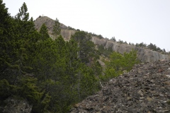 DSCN1727