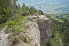 DSCN1730