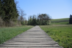 DSCN3372