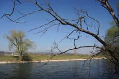 DSCN3377