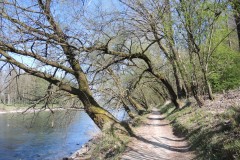 DSCN3378