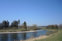 DSCN3380