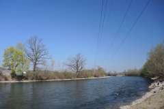 DSCN3384
