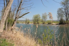 DSCN3392