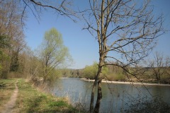 DSCN3393